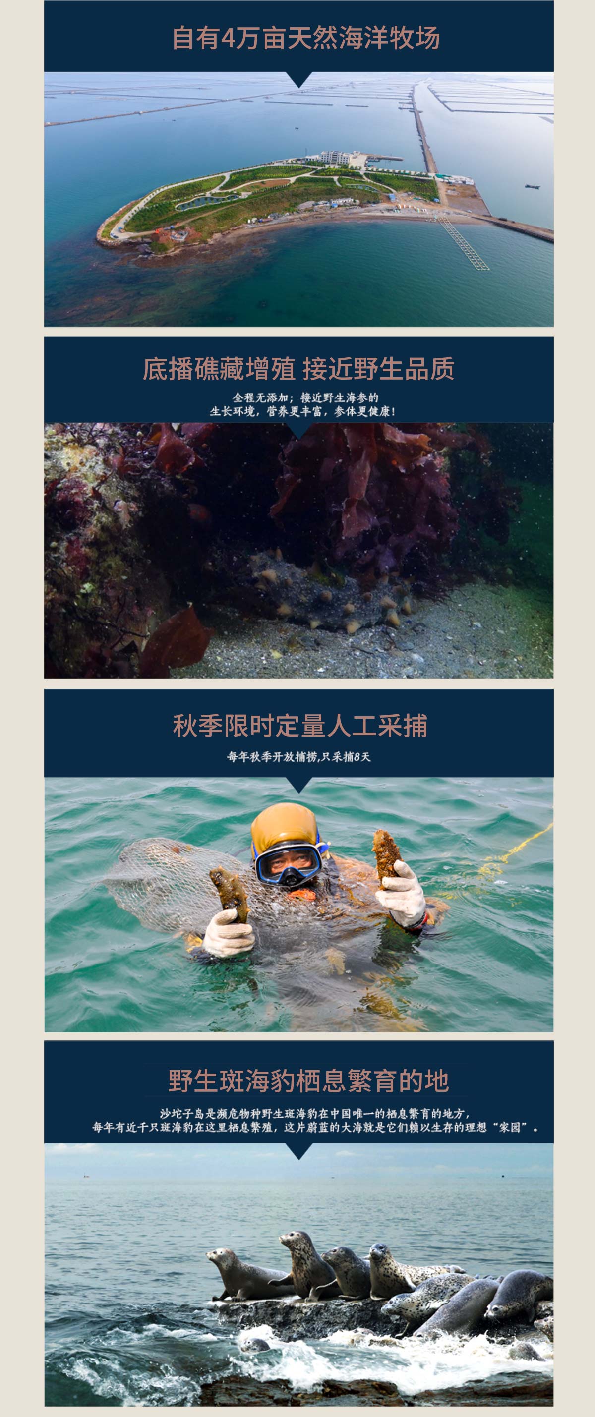 大連沙坨子島海洋生物科技有限公司